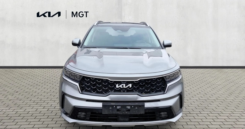 Kia Sorento cena 229900 przebieg: 10, rok produkcji 2023 z Łowicz małe 154